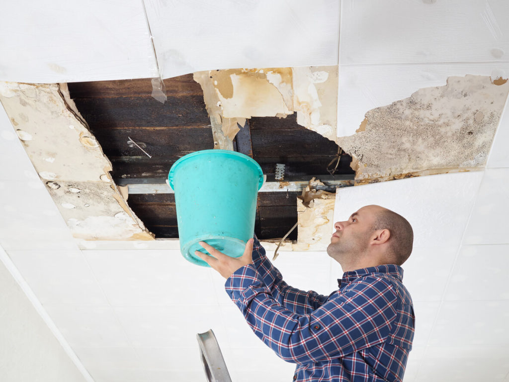 What to do if you find your roof is leaking